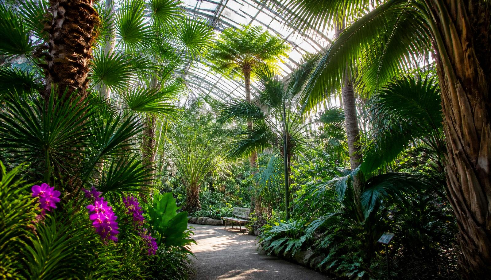 Palmengarten Experience
