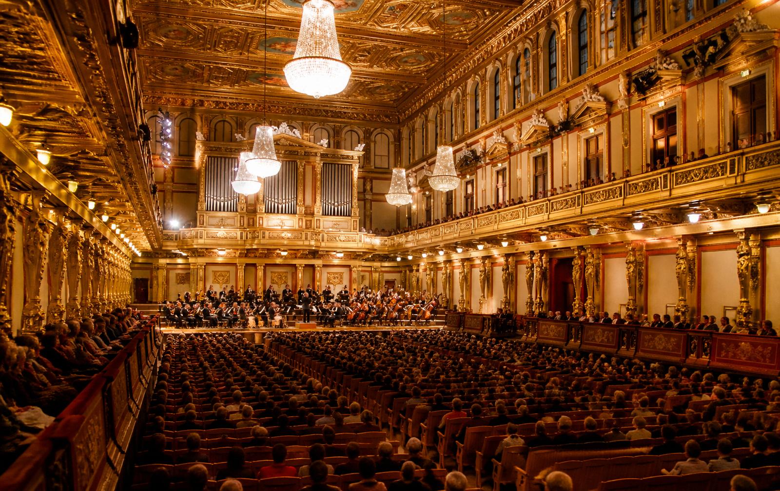 Classical Concert Experience